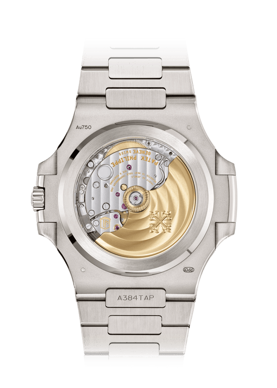 DATE SP. SS. - BLUE AND WHITE GOLD